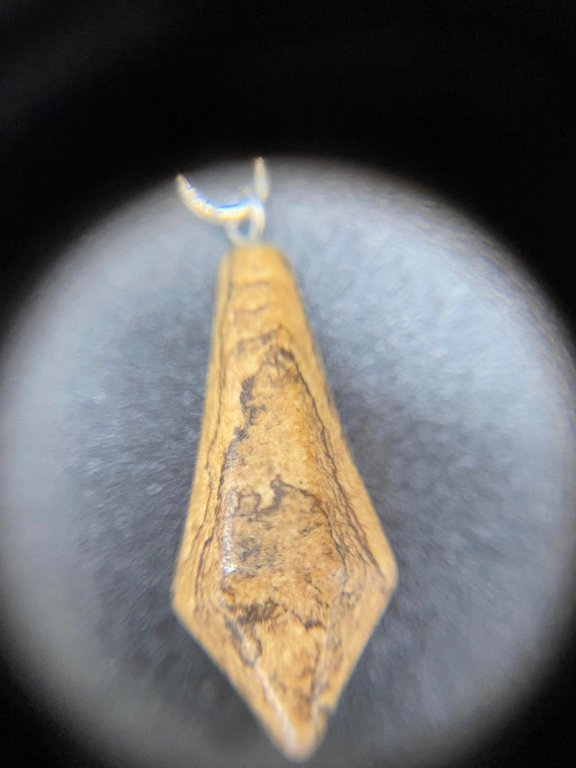 Picture Jasper Faceted Pendulum Pendant Sterling Silver Necklace